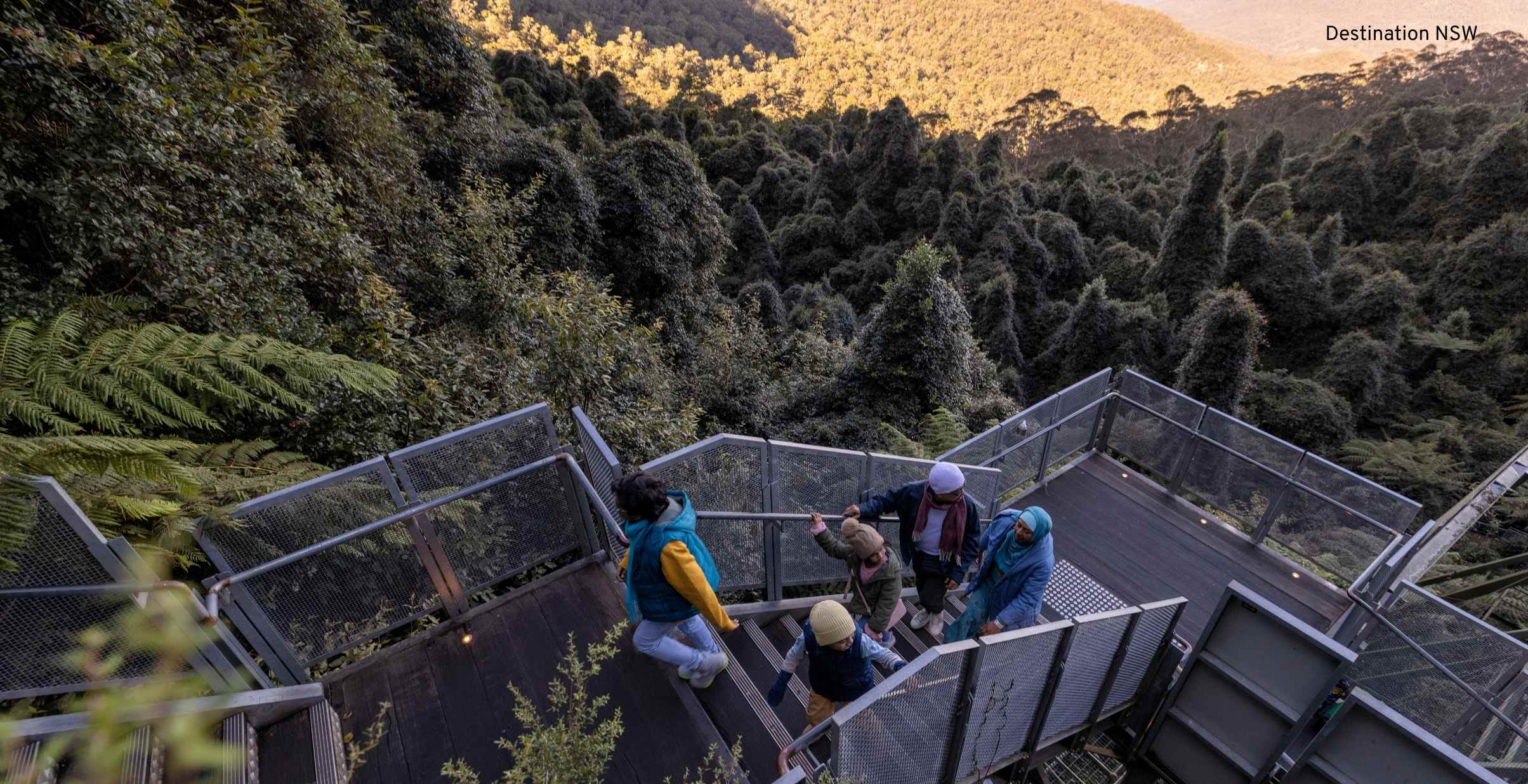 Group of people climbing stairs overlooking amazing views of the blue mountains.