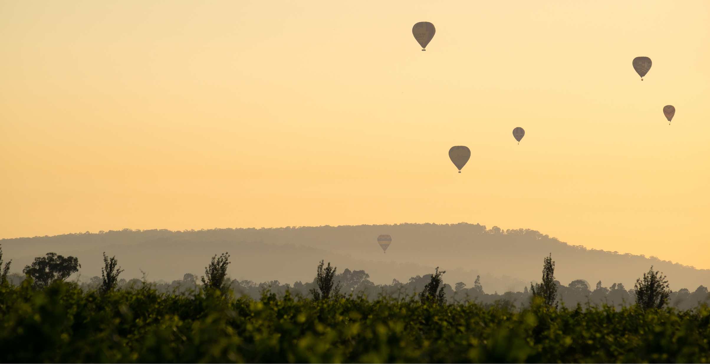 Hot air balloons floating in orange sky over the Hunter Valley wine Region.