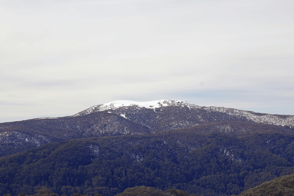 mount buller