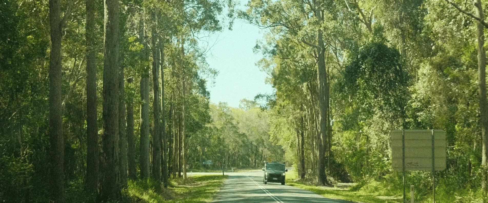 Blue Mountains road trip